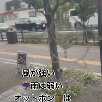 画像1084