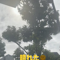画像1172