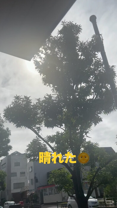 画像1172