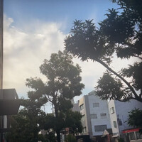 画像1196