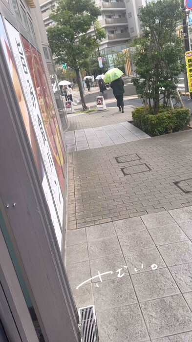 画像1242
