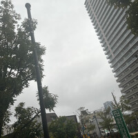 画像485