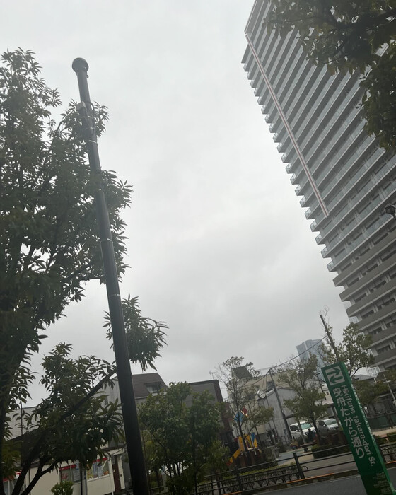 画像485