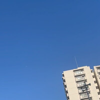 画像497