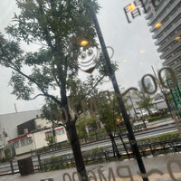 画像599