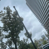 画像651