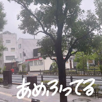 画像734