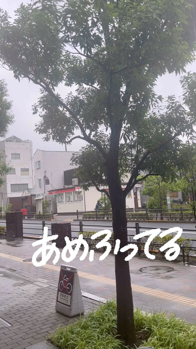 画像734