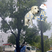 画像736