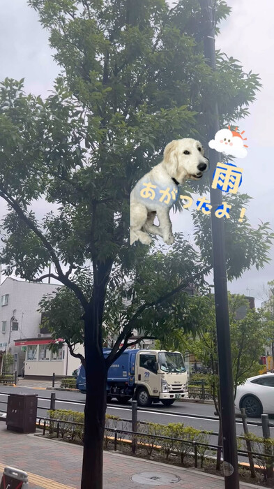 画像736