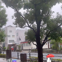 画像780