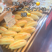 画像828