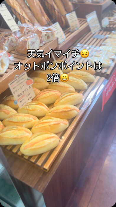 画像828