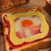画像951