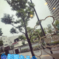 画像977