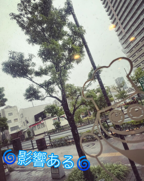 画像977